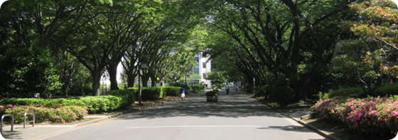 千葉大学