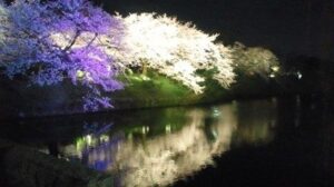 2015年度ゼミ スタート