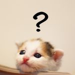 猫のお悩み