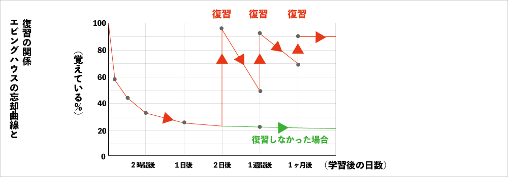 忘却曲線