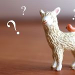 獣医学部ではどんなことをするの？5-6年生編