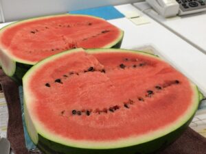 すいか