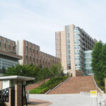 東北医科薬科大学