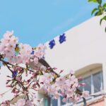 医師への道～医学部１年生の学生生活～