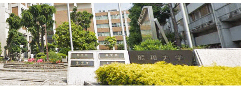 昭和大学医学部